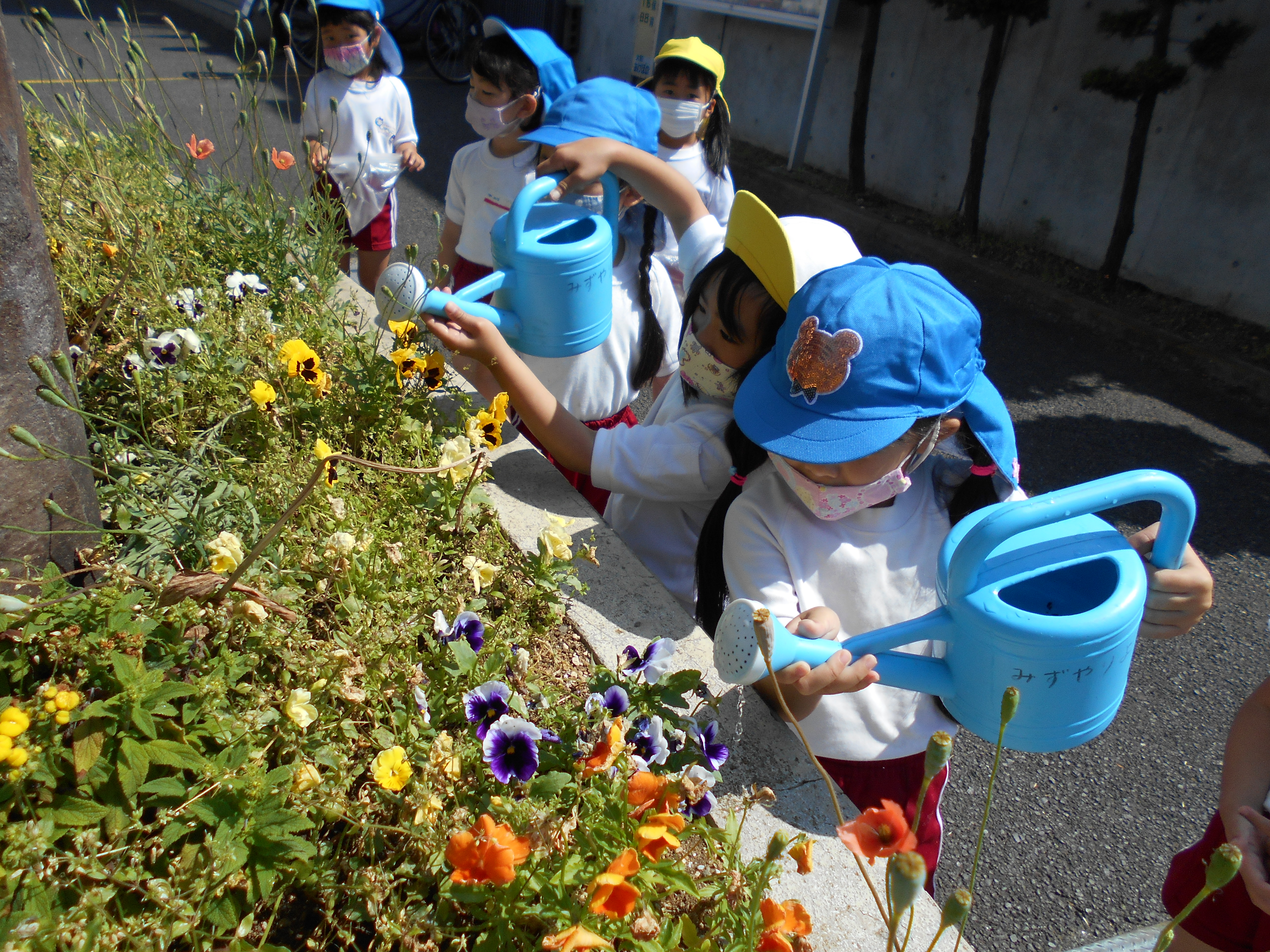 22年5月 花壇のお手入れ 大和あけぼの幼稚園